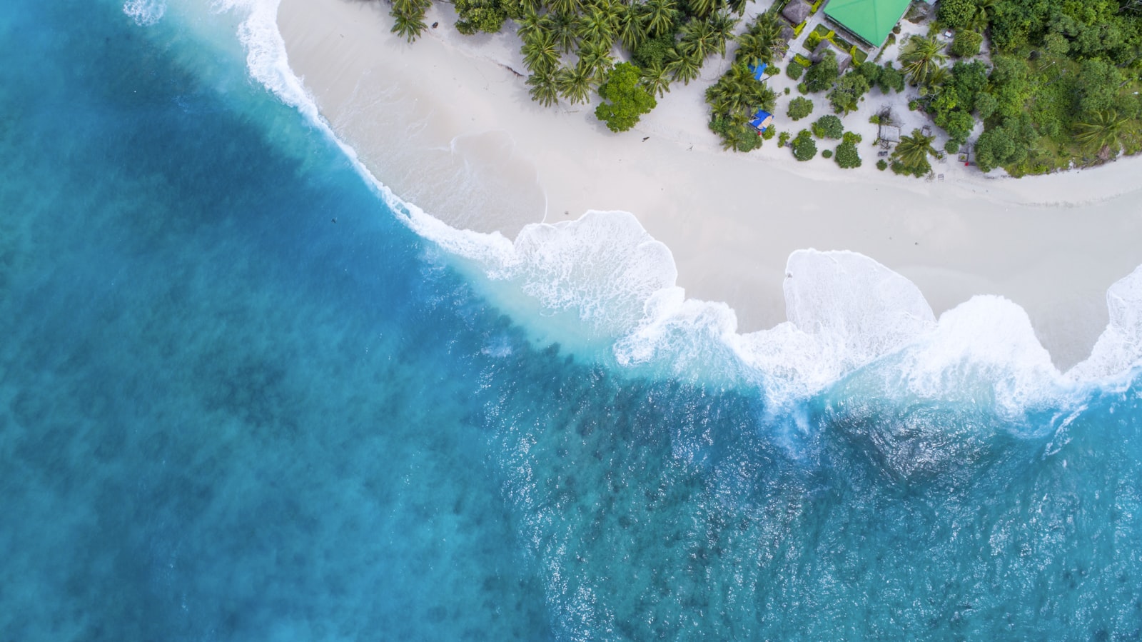 Surfista caminando hacia el mar al amanecer en LATAM